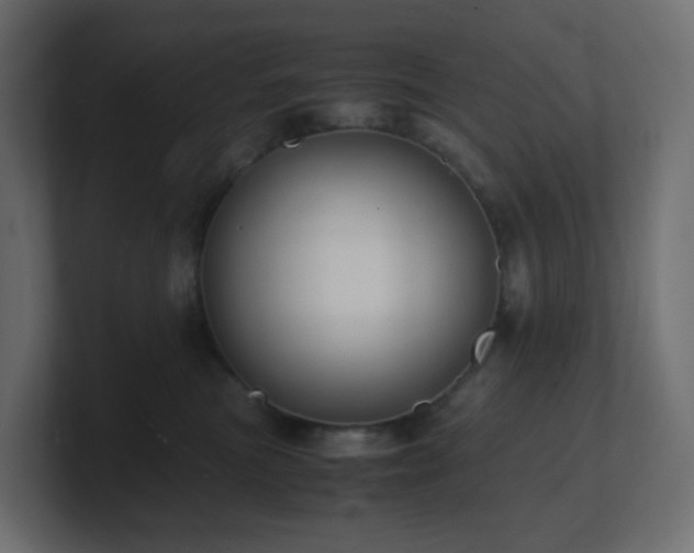X0000101100473200806261516