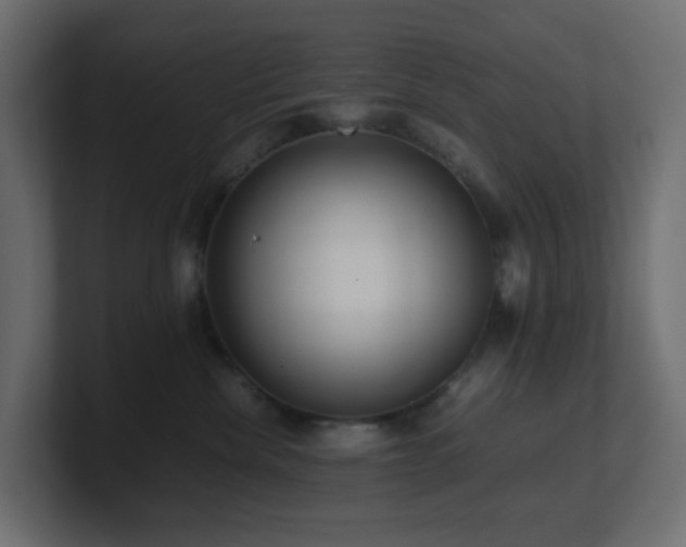 X0000101100476200806261516