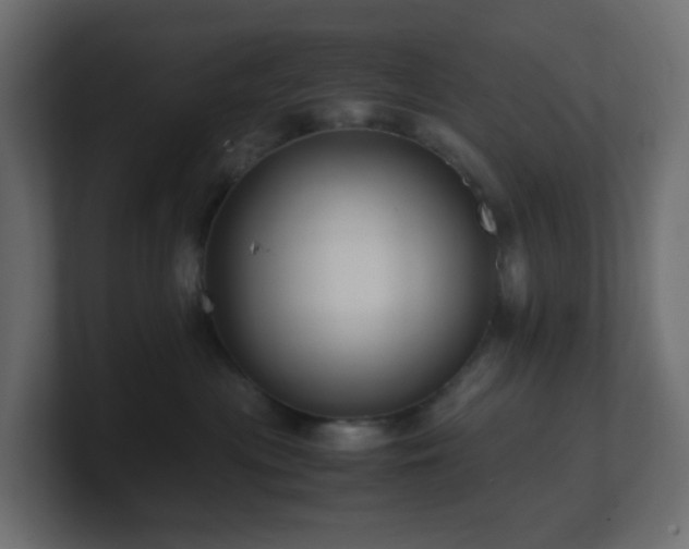 X0000101100477200806261516