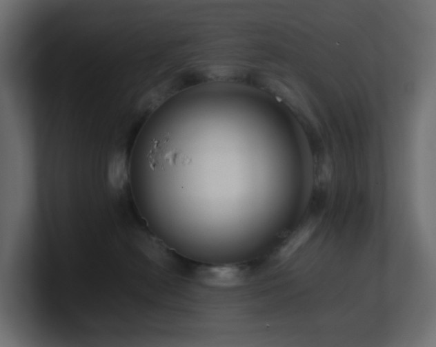 X0000101100478200806261516