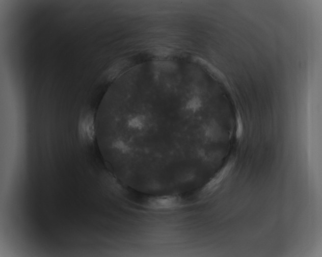X0000101100479200806261516