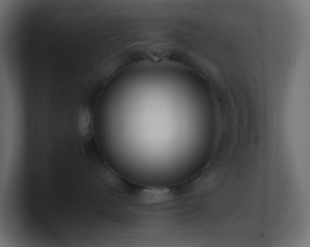 X0000101100480200806261516