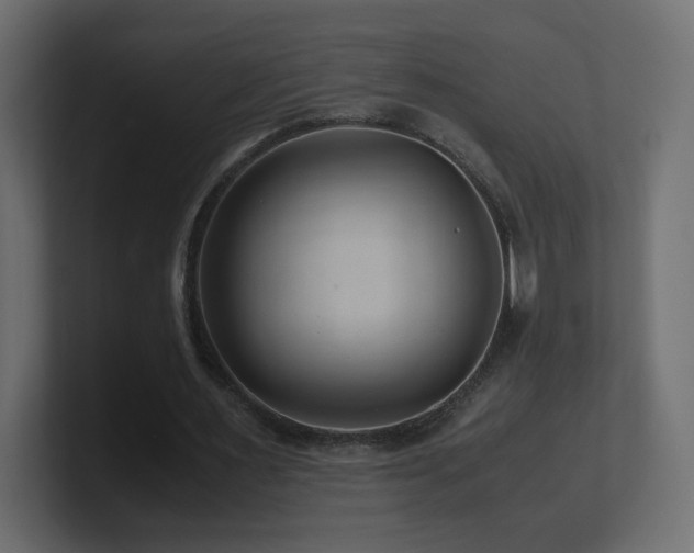X0000101100483200806261515