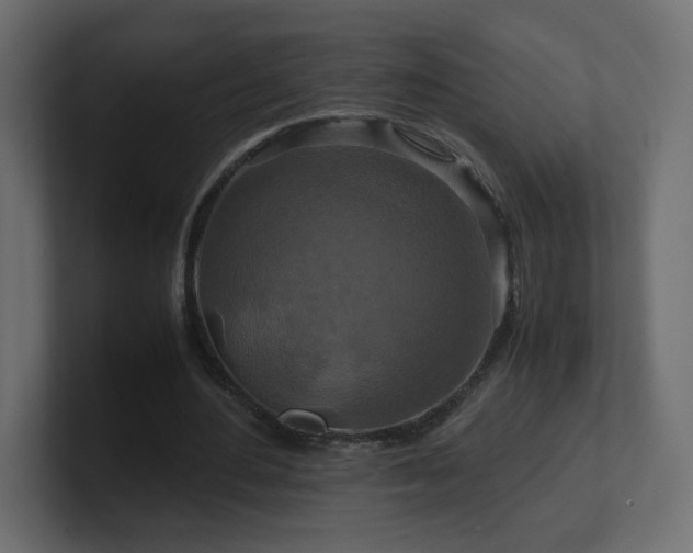 X0000101100484200806261515
