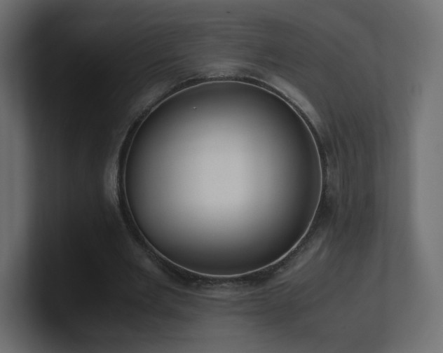 X0000101100485200806261515