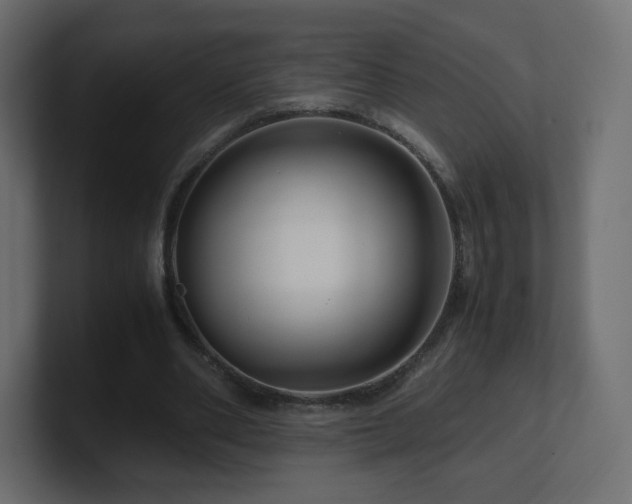 X0000101100486200806261515