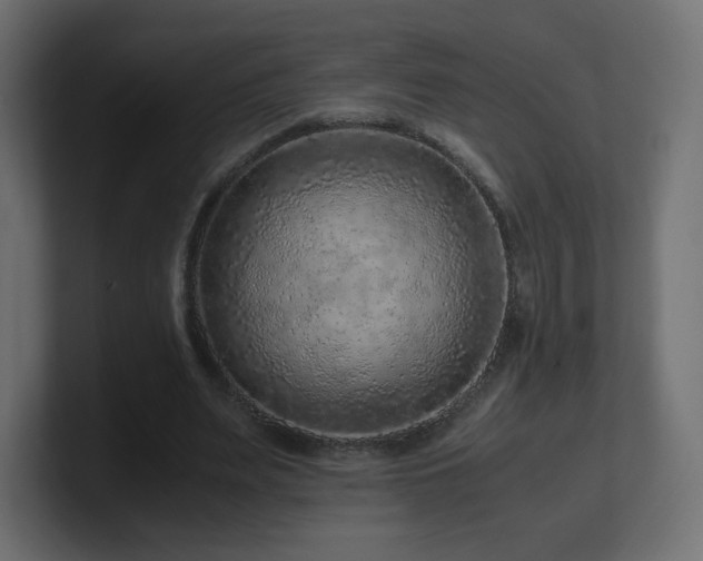 X0000101100487200806261515
