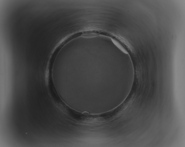 X0000101100488200806261515