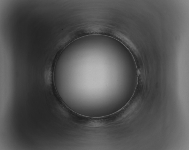 X0000101100489200806261515