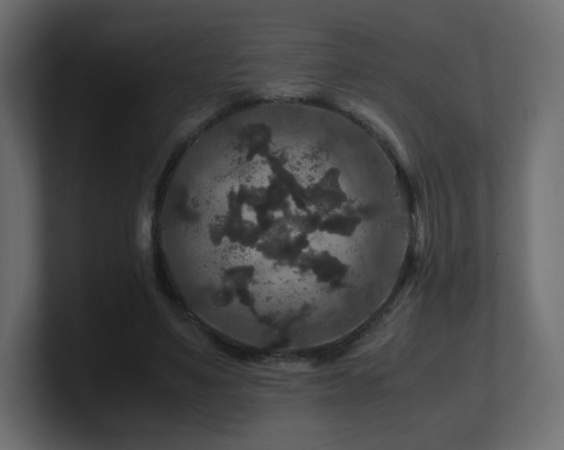 X0000101100491200806261515