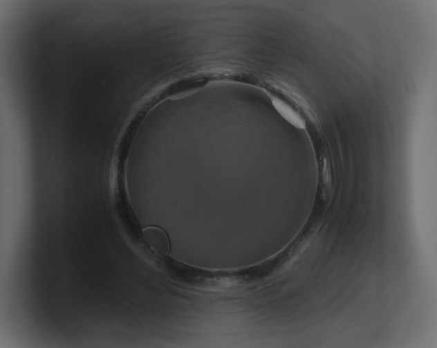 X0000101100492200806261515