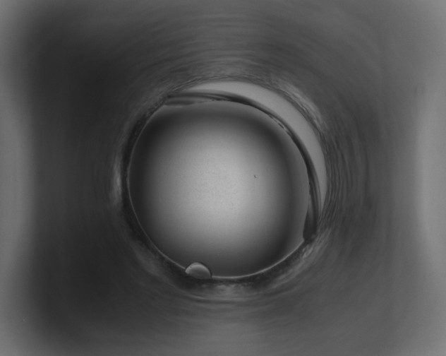 X0000101100493200806261515