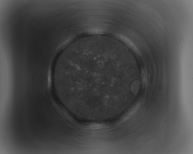 X0000101100494200806261515