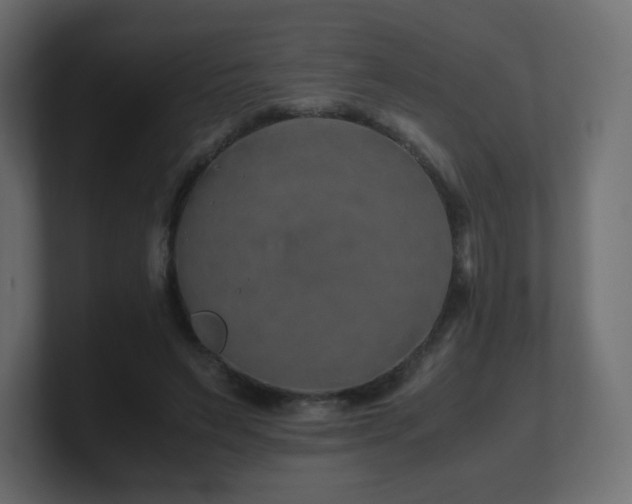 X0000101100495200806261515