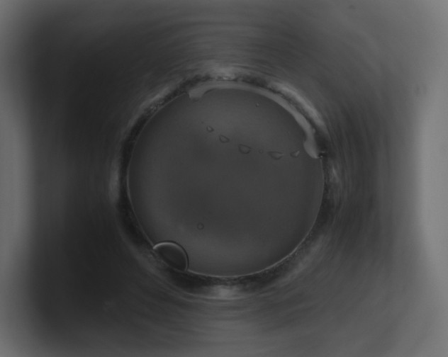 X0000101100496200806261515