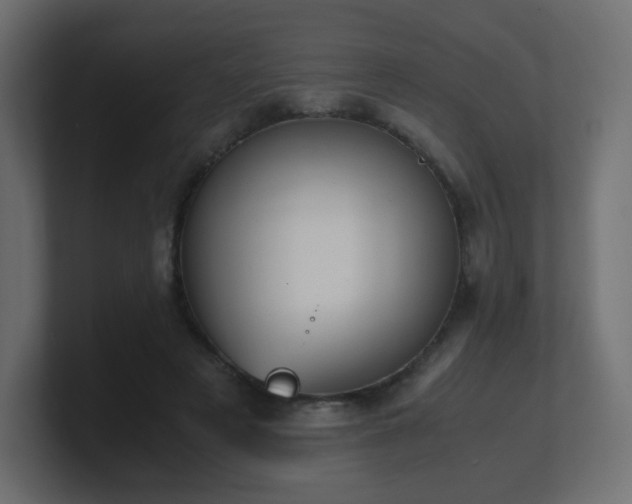 X0000101100497200806261515