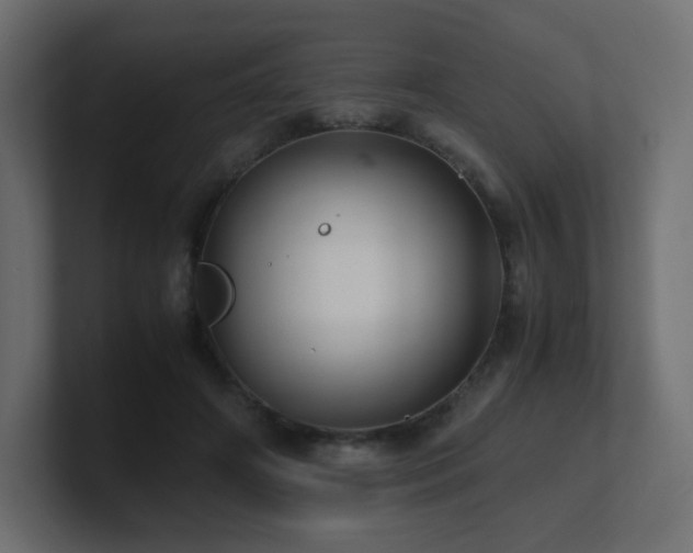 X0000101100498200806261515