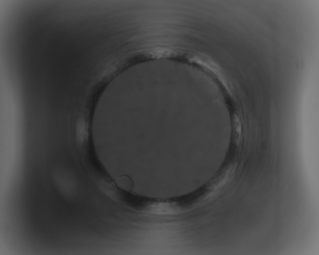 X0000101100499200806261515