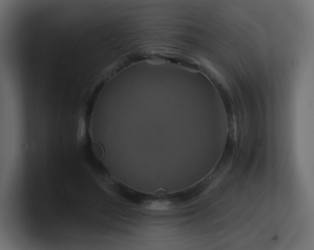 X0000101100500200806261515