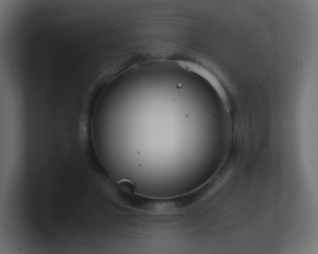 X0000101100501200806261515