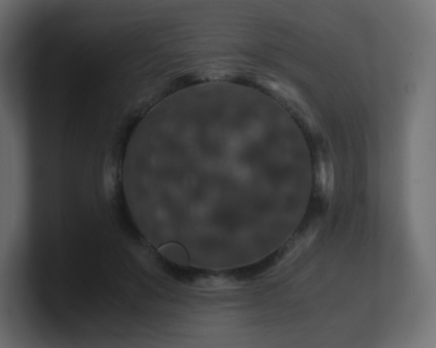 X0000101100503200806261515