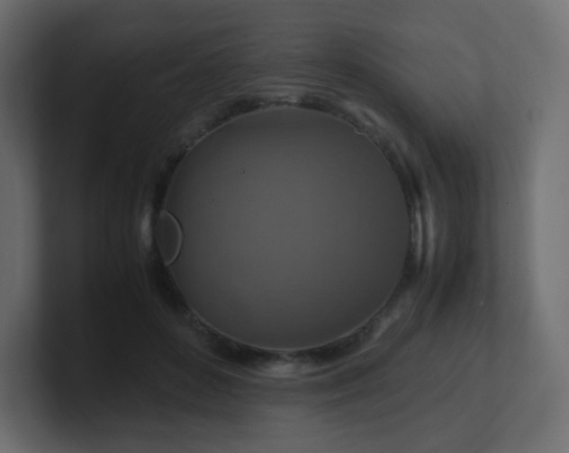 X0000101100504200806261515