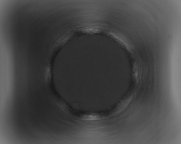 X0000101100506200806261515