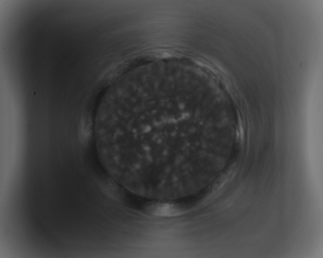 X0000101100507200806261515