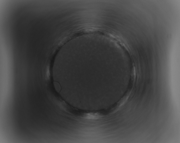 X0000101100508200806261515