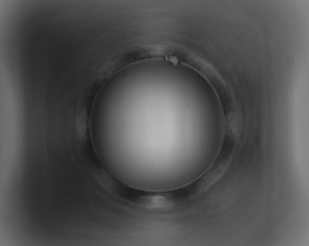 X0000101100509200806261515