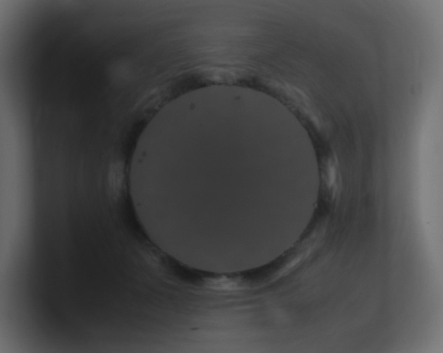 X0000101100511200806261515