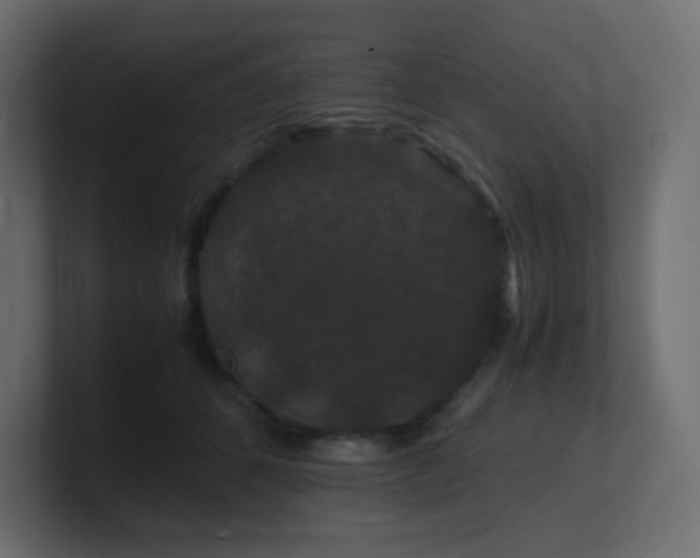 X0000101100512200806261515