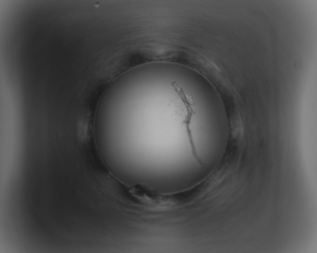 X0000101100515200806261515
