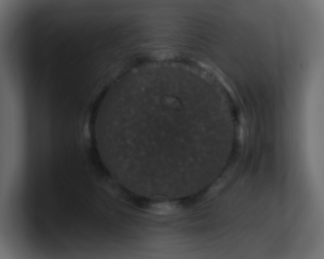 X0000101100516200806261515
