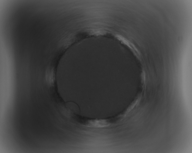 X0000101100517200806261515