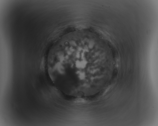 X0000101100519200806261515