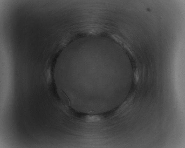 X0000101100520200806261515