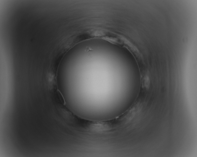 X0000101100521200806261515