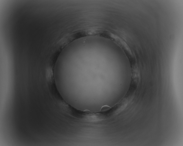 X0000101100523200806261515