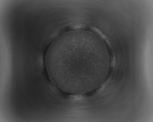 X0000101100524200806261515