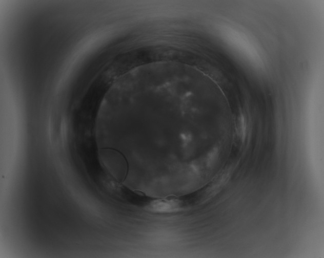 X0000101100526200806261515