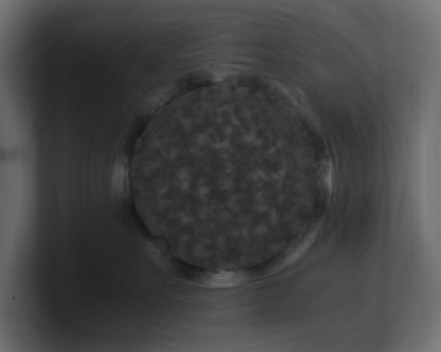 X0000101100527200806261515