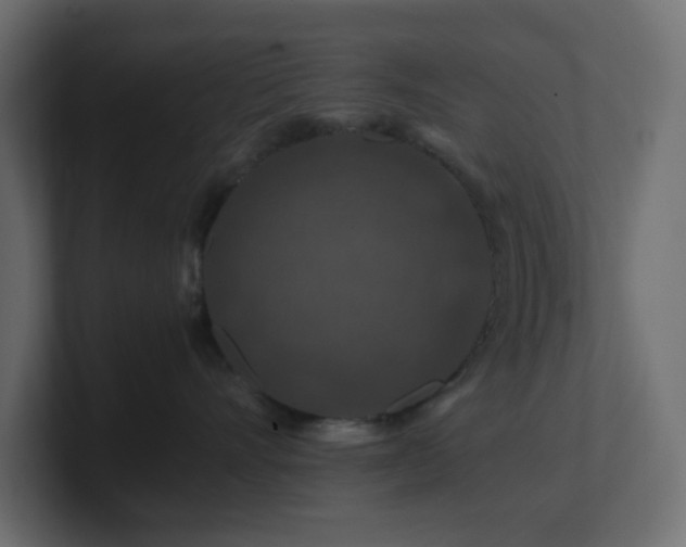 X0000101100528200806261515