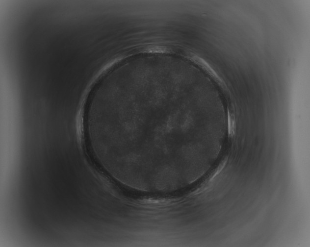 X0000101100531200806261514