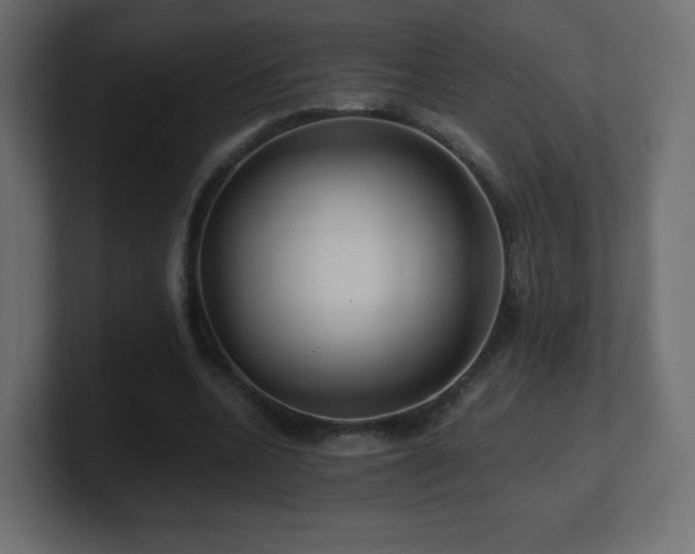 X0000101100536200806261514