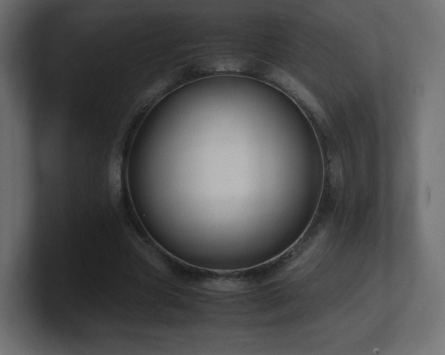 X0000101100537200806261514