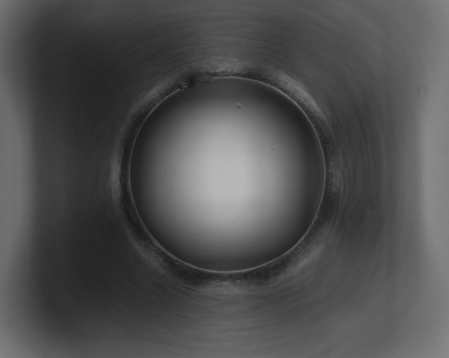 X0000101100538200806261514