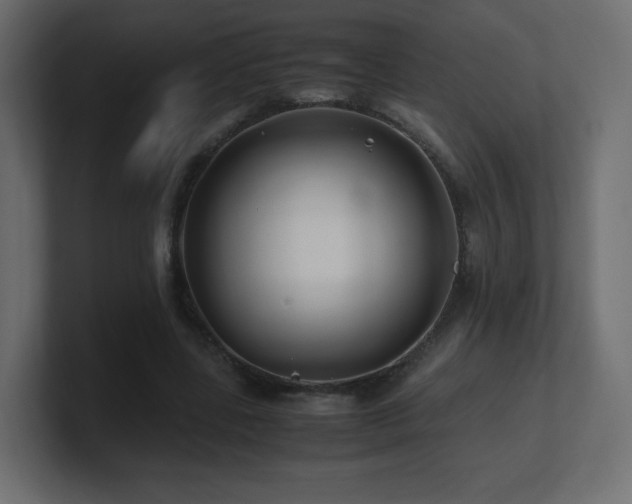 X0000101100539200806261514