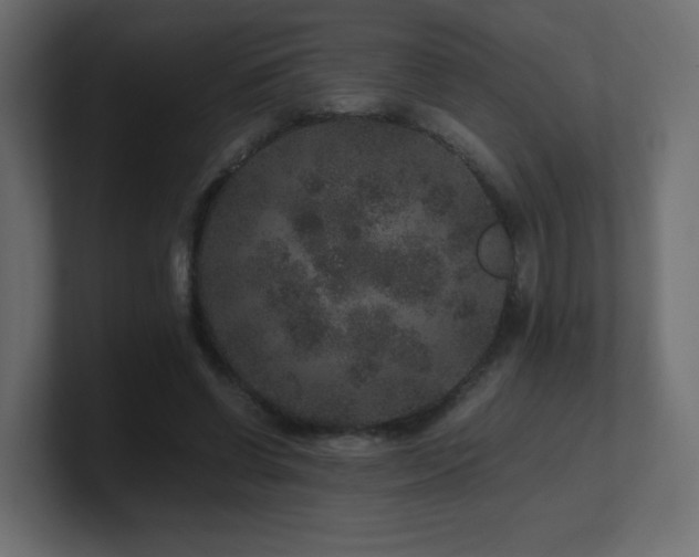 X0000101100542200806261514