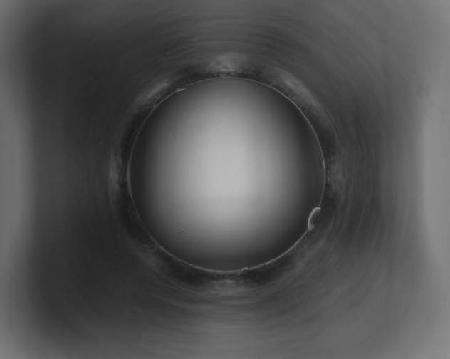 X0000101100544200806261514